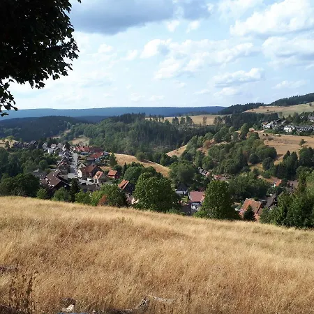 Ferienwohnung Traumharz Sankt Andreasberg Exterior foto