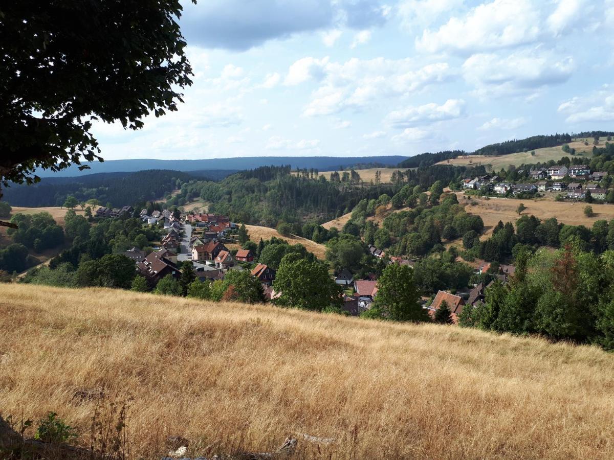 Traumharz *